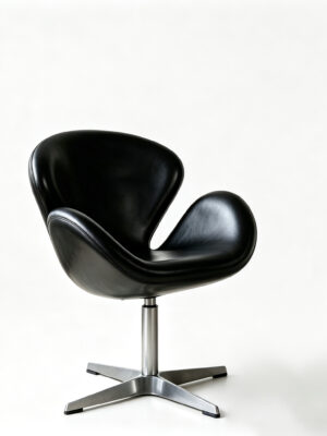 Black leather leisure chair