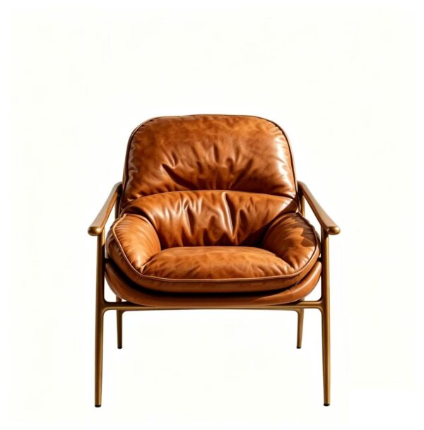 微信图片_20260615160408_258_4 Vintage Copper Frame Armchair