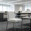 Elegant Solid Iron Framework Chairs